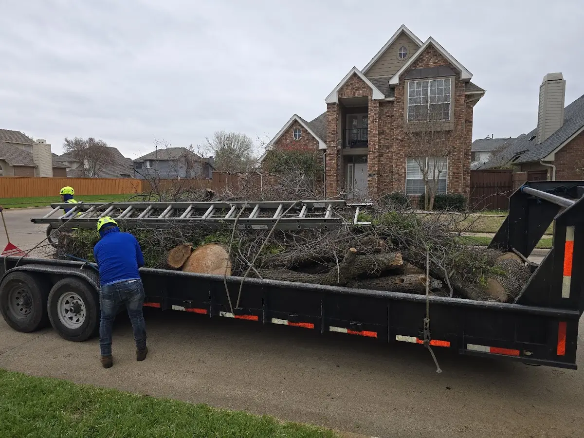 Expert Tree Fertilization with proper safety equipment in Eastaboga